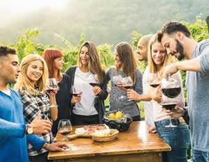 Fredericksburg Winery Tour with Live Music, & BBQ